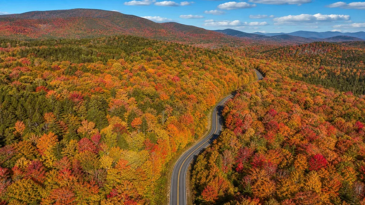 Fall Foliage Routes autumn travel guide illustration